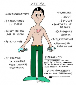 Nursing Guide: Asthma - StudyPK