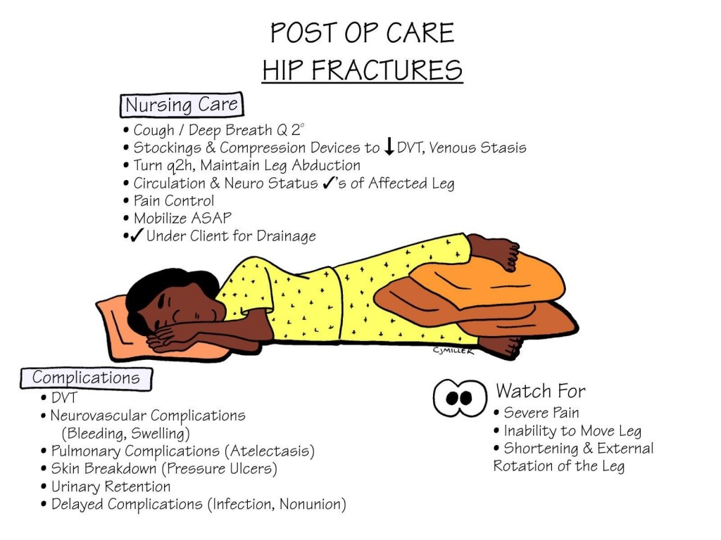 nursing-care-post-op-care-hip-fractures-studypk