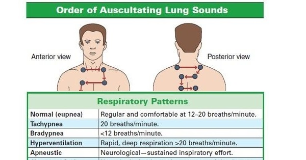 auscultating anterior lung sounds