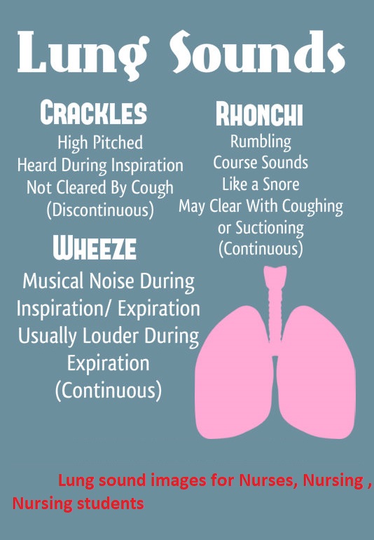 lung sounds rales