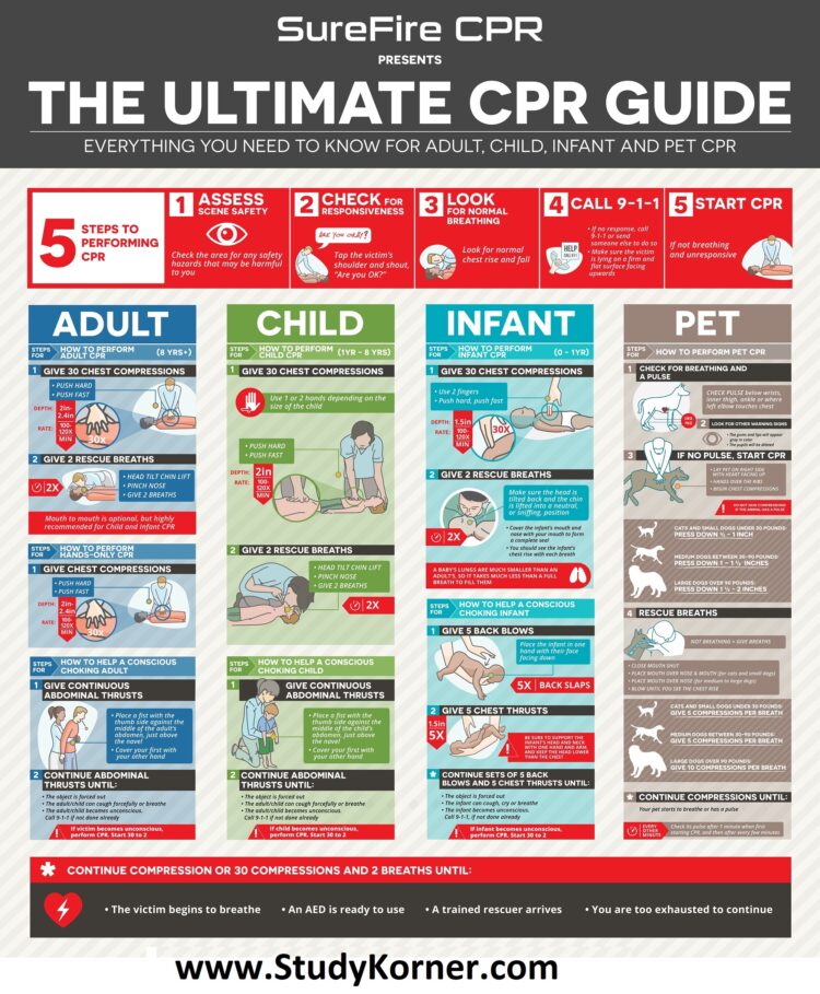 the-ultimate-cpr-cheat-sheet-guide-for-adult-child-infant-pet-cpr-guidelines-2019