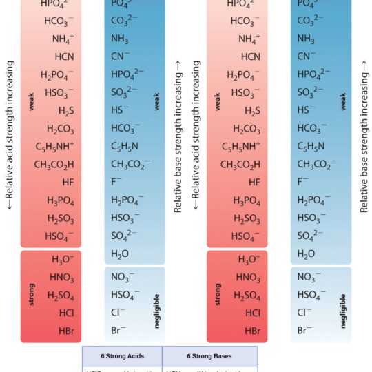 Organic Chemistry Archives - StudyPK