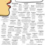 Words that Describe Someone's Voice