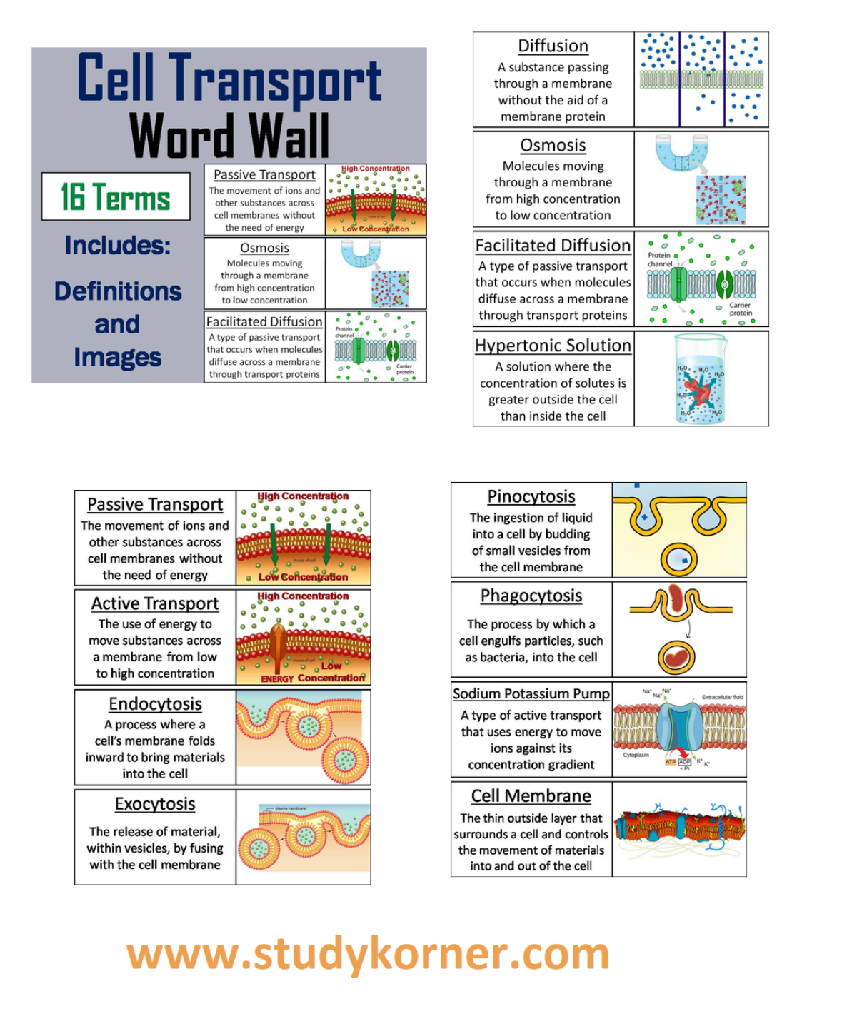 Active Transport And Passive Transport Across A Cell Membrane Studypk