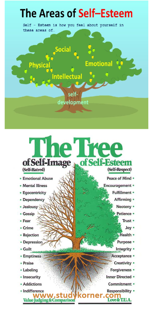 Tree of Self Image and Self Esteem - StudyPK