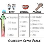Glasgow Coma Scale ranges